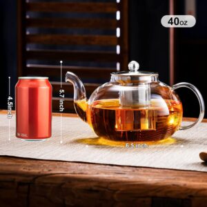 Glass Teapot with Infuser Kettle